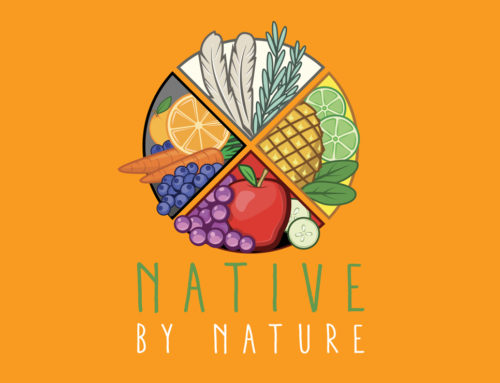 Native By Nature Logo and Identity