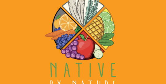 Natieve By Nature Logo Design